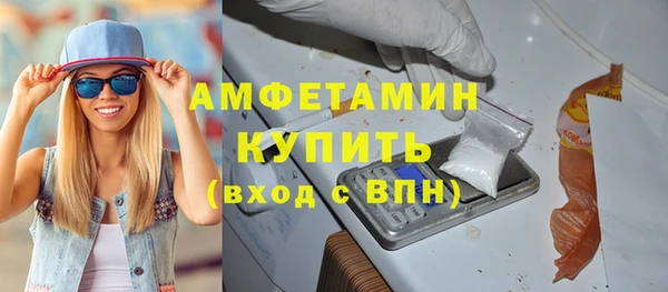 дмт Дмитров