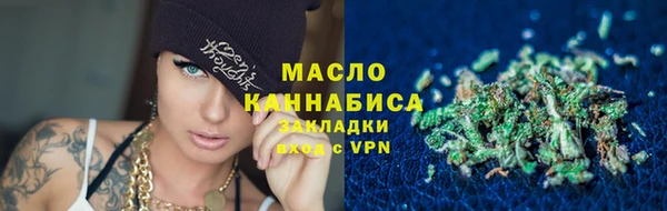 ECSTASY Гусь-Хрустальный
