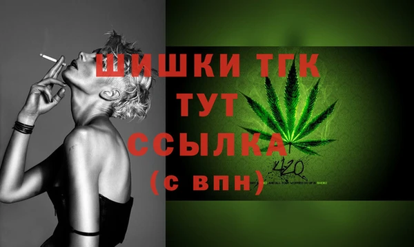 гашик Дмитриев