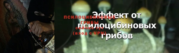 спайс Гусев