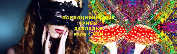 гашик Дмитриев