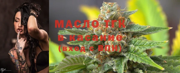 гашик Дмитриев
