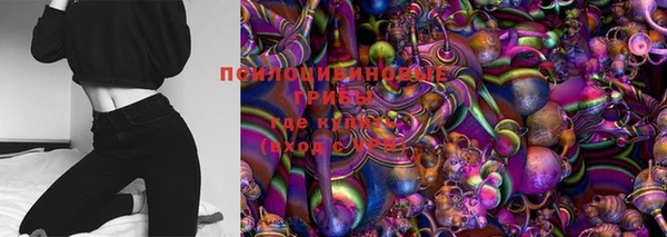 дмт Дмитров