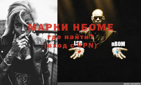 гашик Дмитровск