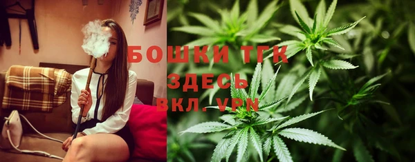 спайс Гусев