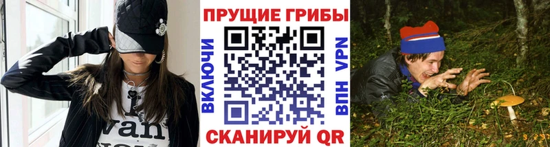 Купить закладки  Анадырь  Галлюциногенные грибы ЛСД 